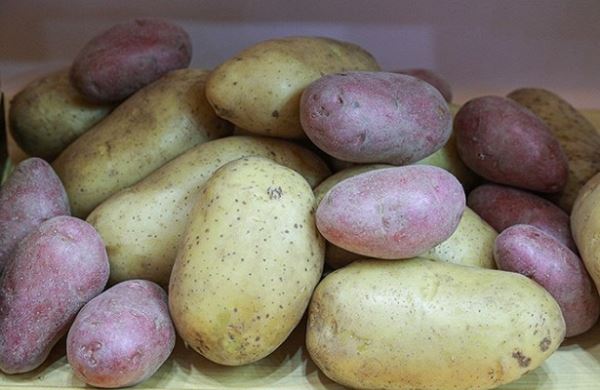 <br />
Украина стала покупать больше российской картошки<br />
